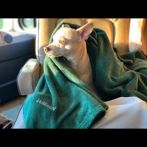 Meet your Posher, Aric